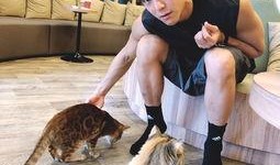 彭于晏娱乐爆料视频,揭秘明星幕后生活点滴