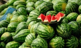 网红赵梓婷吃瓜,一场吃瓜盛宴背后的故事